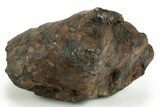 Sericho Pallasite Meteorite ( g) - Kenya #302886-2